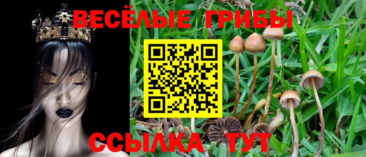 Галлюциногенные грибы Magic Shrooms  Псилоцибиновые грибы Cubensis  Усолье-Сибирское  Вход с VPN 